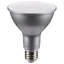 11 Watt White LED Bulb