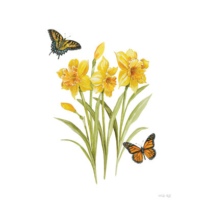 Butterfly Dance par Cindy Jacobs
