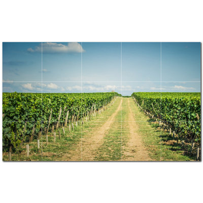 Carreau de céramique murale 40 po x 24 po PT500584: 8 po x 8 po (ensemble de 15)