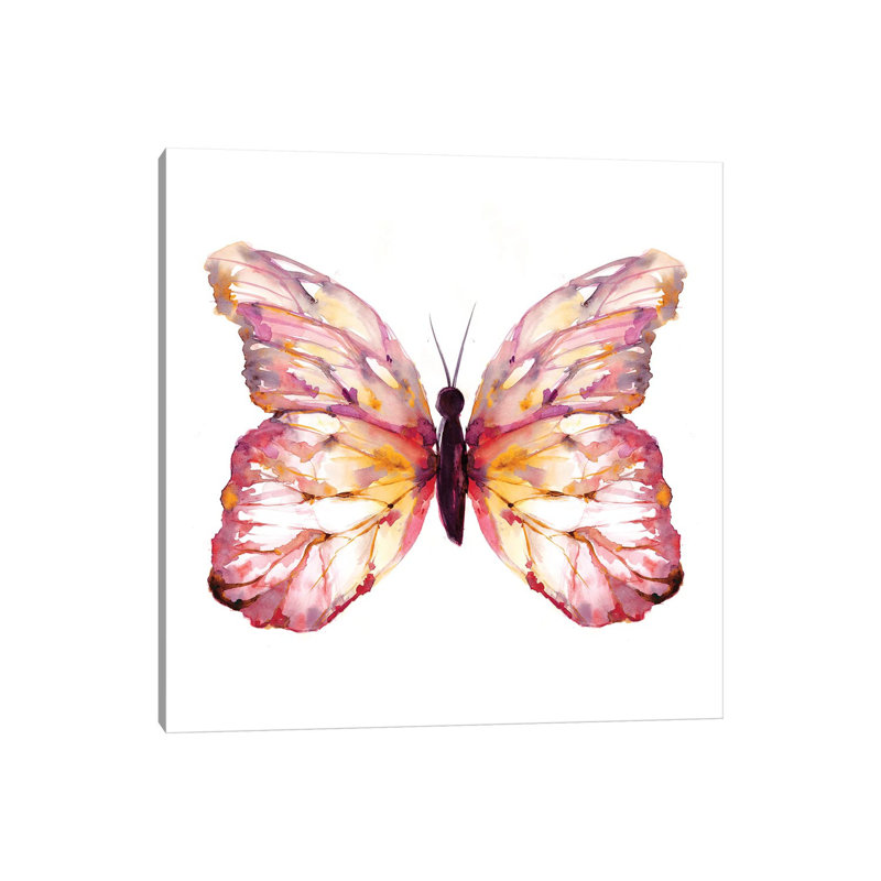 Butterfly Blush by Ben Bonart - Print on Canvas, 45.72 cm H x 45.72 cm W x 1.91 cm D, Wrapped Canvas