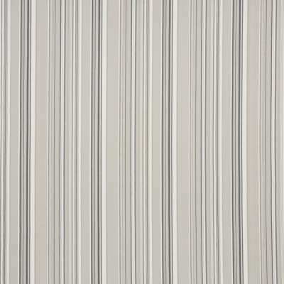 Tissu à rayures Ponderosa