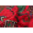 Rizbaft Red Rug 3'8" x 6'2"
