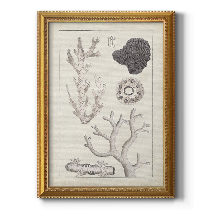 Toile encadrée Corail II antique de qualité supérieure - prête à être accrochée, H 20 po x l 16 po x P 2,5 po
