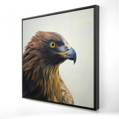 «Aigle à tête brune»