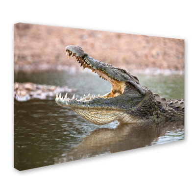 'Alligator' Photographic Print on Wrapped Canvas
