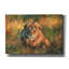 «Lion at Sunset2» par David Stribble, art mural sur toile-1646748566