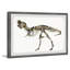 «T-Rex Fossil» de Brooten, reproduction encadrée-479719109