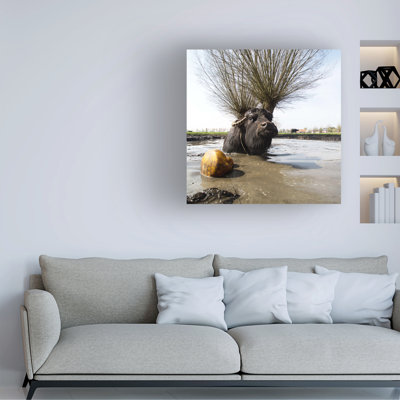 Gert Van Den Do You Like My New Antler? Art sur toile