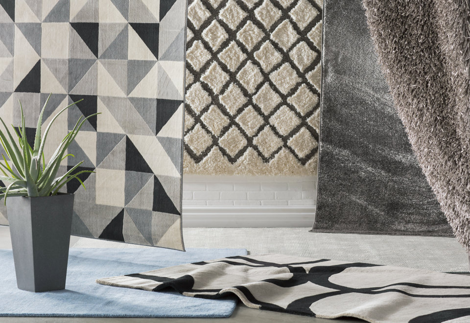 Bold Rugs