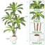 Plant-412834848
