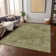 Machine Washable Indoor/Outdoor Xhevrie Green Rug
