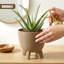 Pot Planter-1997531617-1997531618