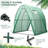 6' W x 6' D Greenhouse-94950739