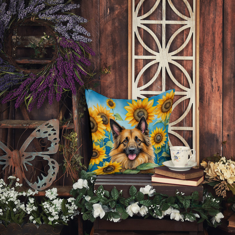 Other/No Pattern Outdoor Throw Pillow, 14"H x 14"W