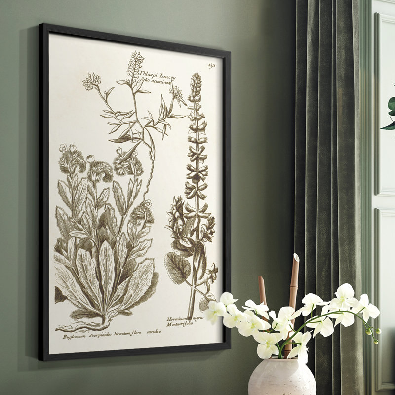 «Sepia Botanical Journal IV», reproduction encadrée - bois massif, Noir, H 28 po x l 22 po