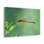 No Frame Print on Canvas-989649784