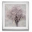 «Blossoms of Spring III», impression-40501221-29161960
