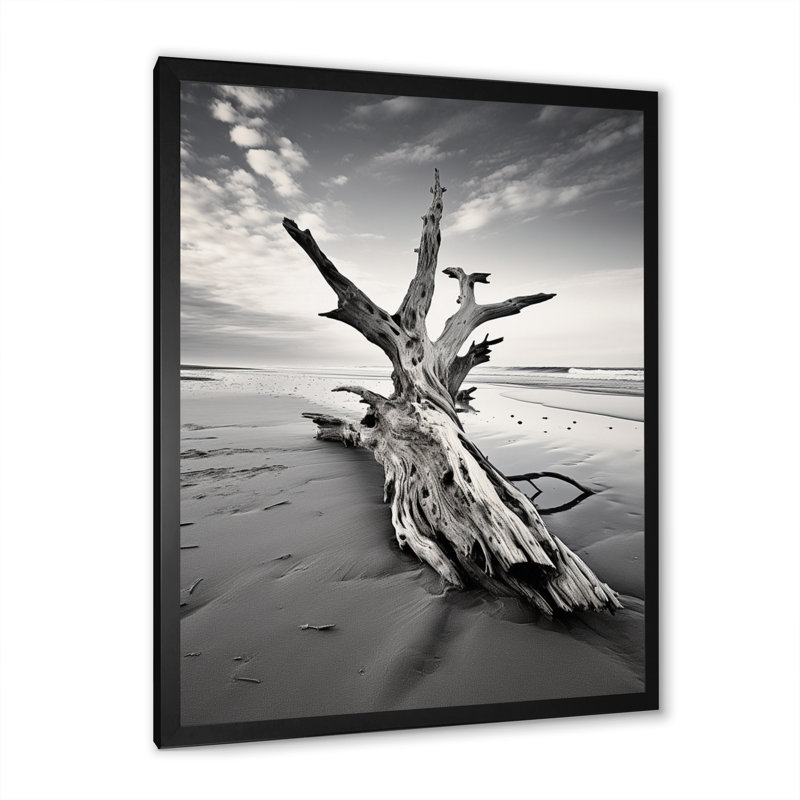 Plage de bois flottant photo III, Cadre photo noir, H 20 po x l 12 po x P 1 po
