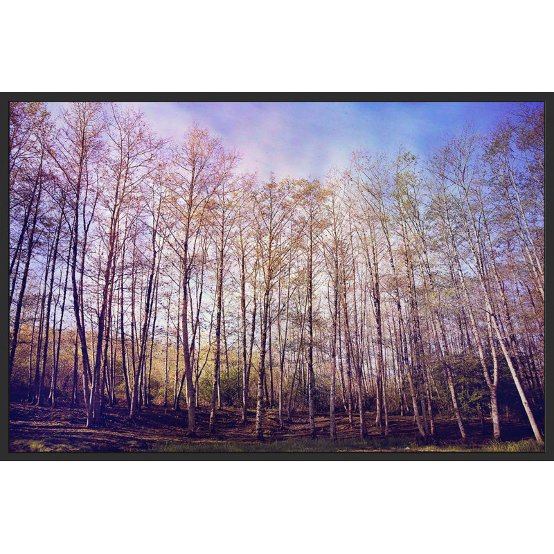 « forest of trees », reproduction d’art sur toile, 30 po x 45 po, Cadre noir