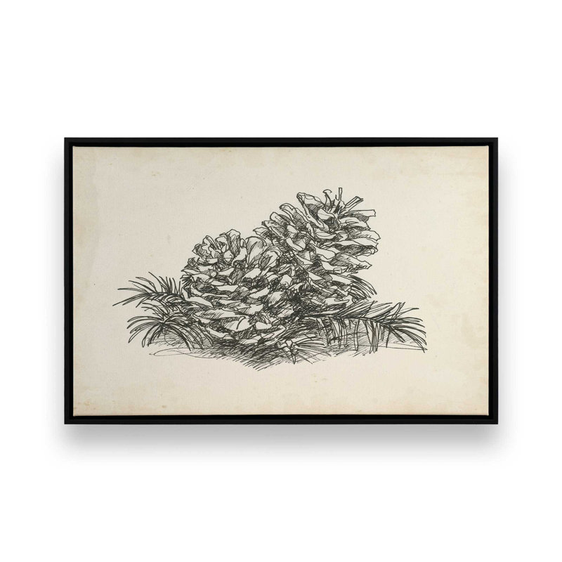 «Christmas Conifers I» par Ethan Harper, reproduction d'art sur toile, H 24 po x l 36 po, Noir