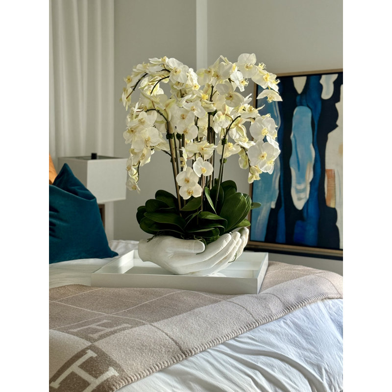Orchid Floral Arrangement in Vase, White