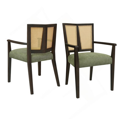 Dining Chair(Dark Brown+Green) Set Of 2