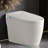 One-Piece Smart Toilet with Bidet, Auto Flush, Heated Seat, and Remote Control