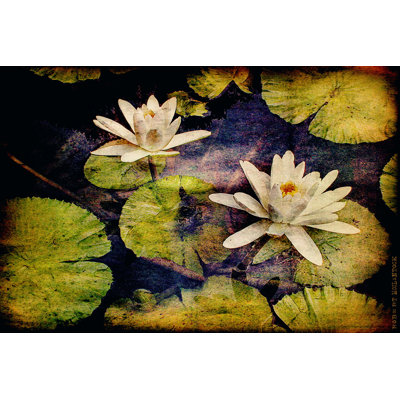Lily Ponds V by Robert McClintock - Wrapped Canvas Print