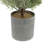 24'' Faux Pine Tree in Pot