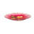 Amanjeet Glass Single Tier Birdbath