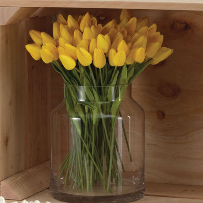 Tiges de tulipe petite