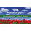 Habitats ™ - Dragonfly Windbell, carillon vert-de-gris