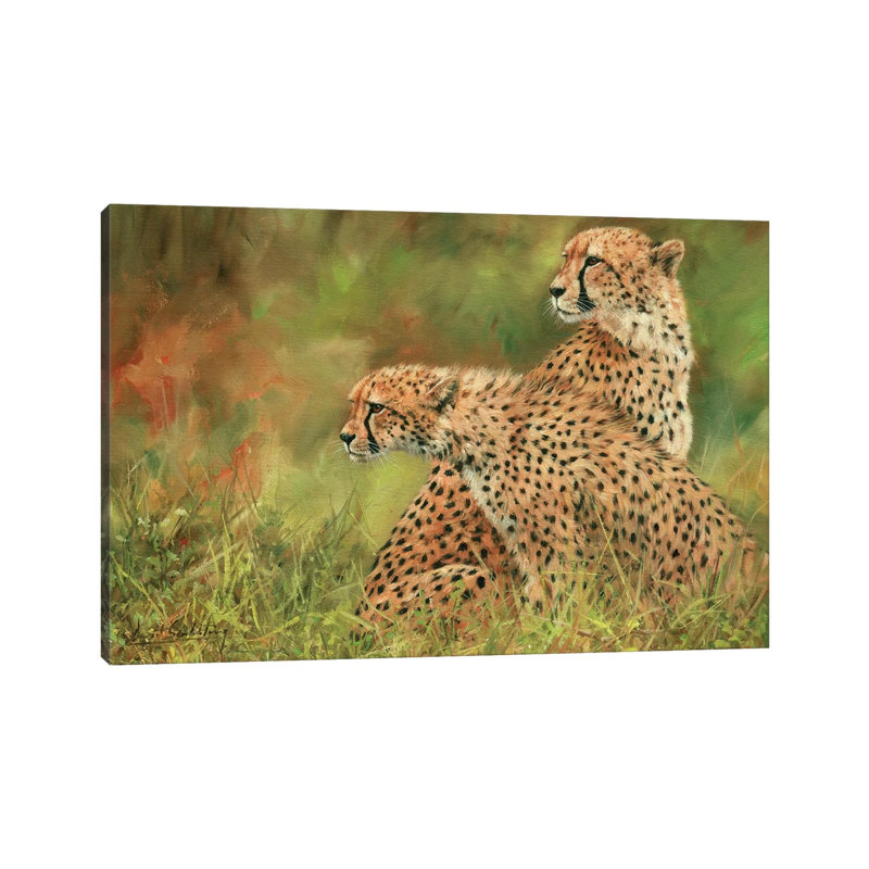 Pair Of Cheetahs by David Stribbling - Wrapped Canvas Print, 152.5 cm H x 101.5 cm W