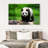 Crowle Strolling Panda-111979345