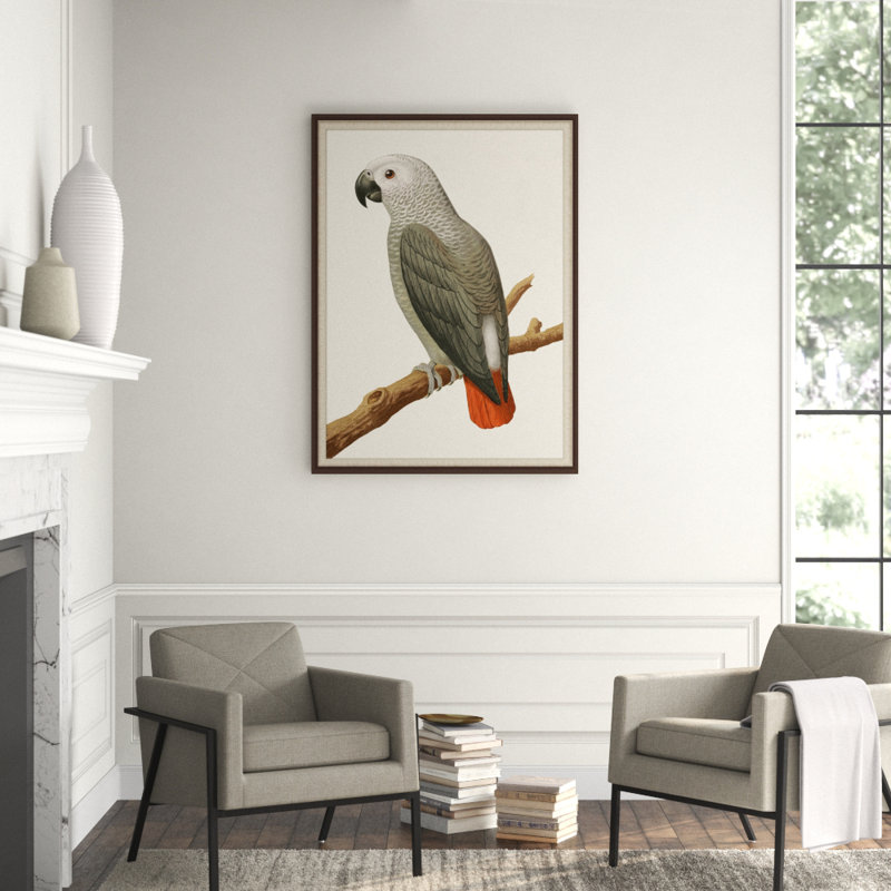 Gray Parrot 2' Framed Print on Glass