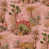 Plaster