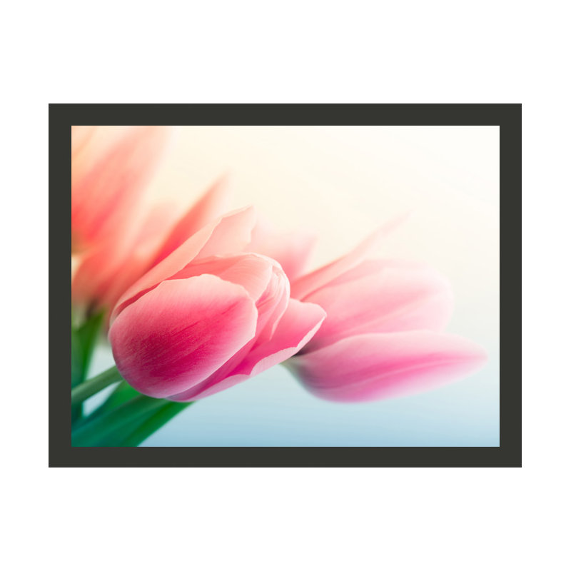 Spring and Tulips 2.70m x 350cm Wallpaper, 400 cm x 309 cm