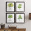 L'arbre I - ensemble de 4 reproductions d'art encadrées-1506622914-1506622915-1496819695