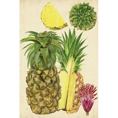 Tropical Pineapple Study I by Melissa Wang - Wrapped Canvas Art Prints