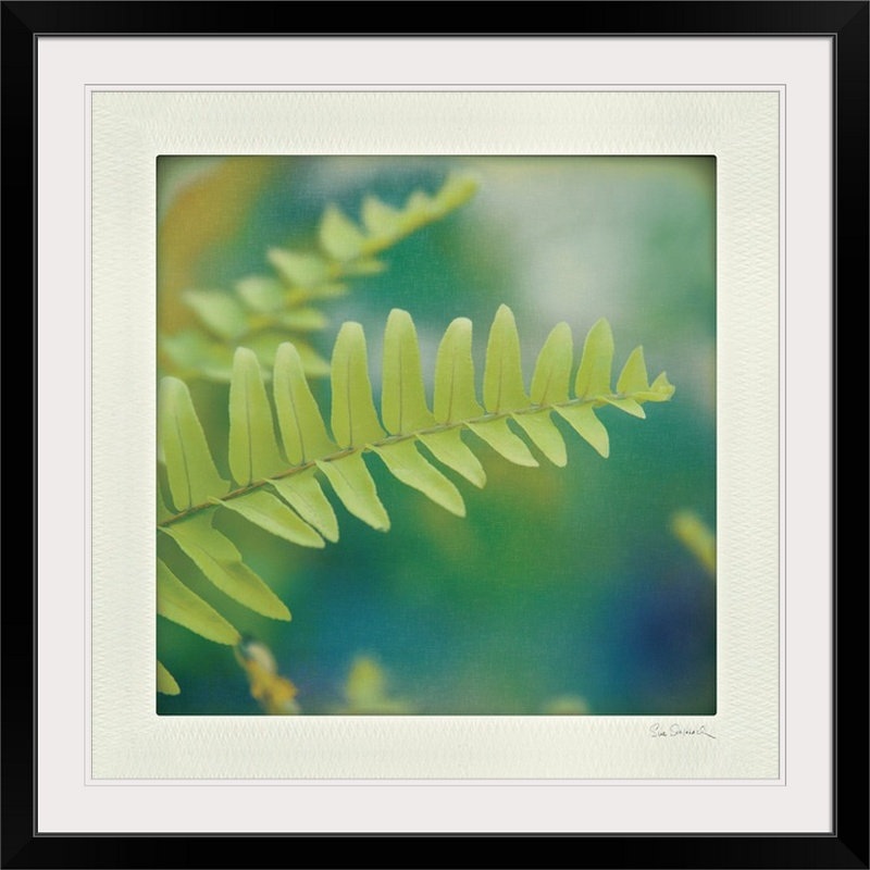 « i » par sue schlabach, reproduction de photo Natures Fern, H 28 x l 28 po x P 1 po, Cadre noir