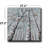 Birch Forest Perspective Canvas Wall Art