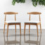 Ensemble de 4 chaises de salle à manger en bois massif, chaises d'appoint rembourrées, 4 pièces en bois véritable avec coussin-932551164-932551165