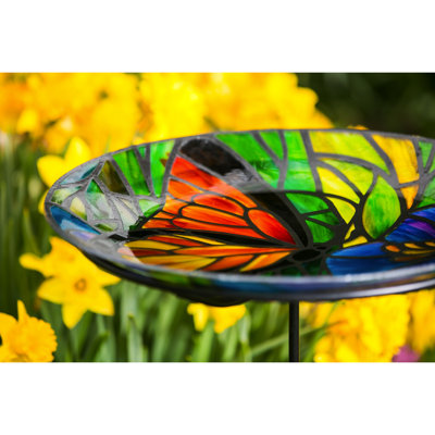 Glass Birdbath