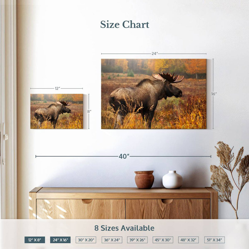 Crowle Mighty Alaskan Moose, H 16 po x l 24 po