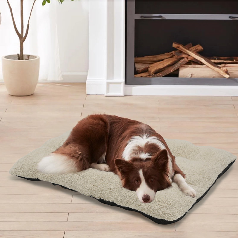 Lit lavable rectangulaire pour chien avec fond antidérapant doux et moelleux pour chien et chat, idéal pour les caisses et l'intérieur