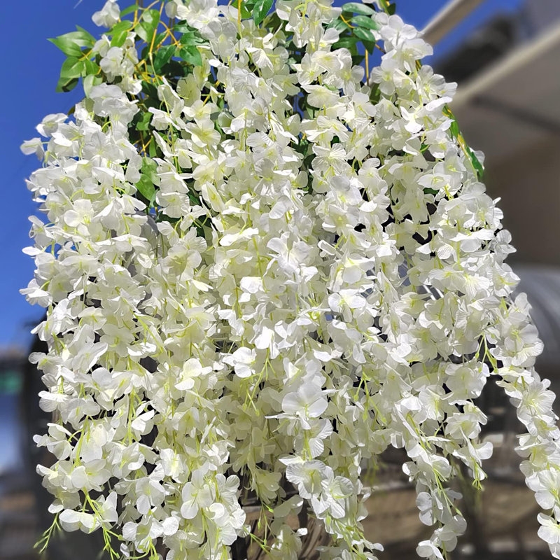 Wisteria Arrangement, White