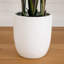 7Ft. Artificial Bird Of Paradise Tree With Resin Stone Planter