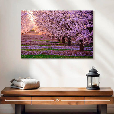Alvord California Sakura Trees