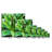 " Agave Montana "-770429330