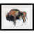 Black Framed selected